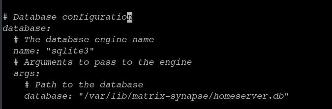 Matrix Synapse User / Benutzer Passwort ändern / reset